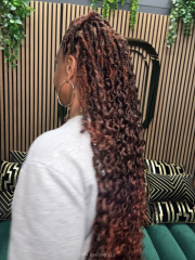 Boho-Locs-DSN-Braiding-14