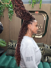 Boho-Locs-DSN-Braiding-4