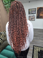 Boho-Locs-DSN-Braiding-8