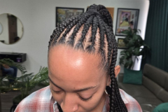Cornrow Braided Ponytail