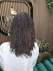 Microlocs-DSN-Braiding-12.1