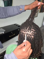 Microlocs-DSN-Braiding-5
