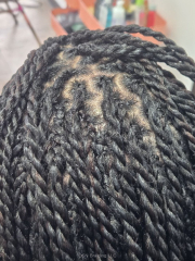 Two-Strand-Twists-DSN-Braiding